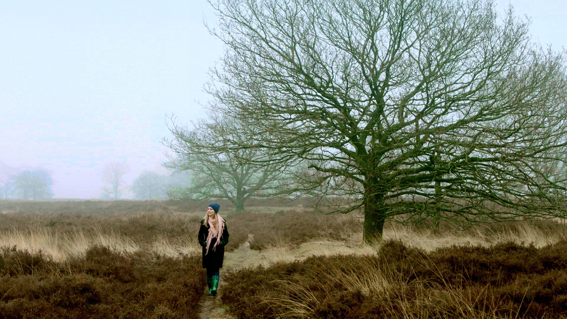 Backdrop for Wanderlust