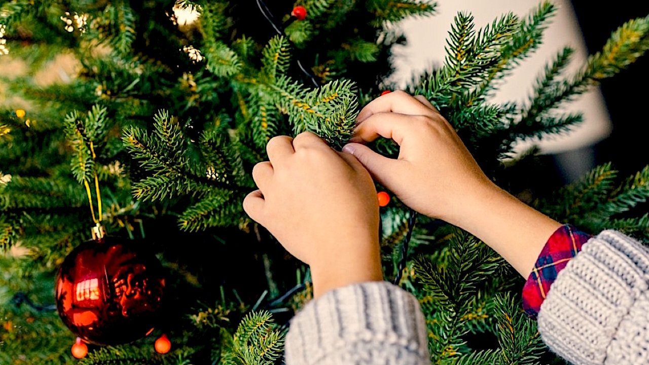 Backdrop for Merry Christmas