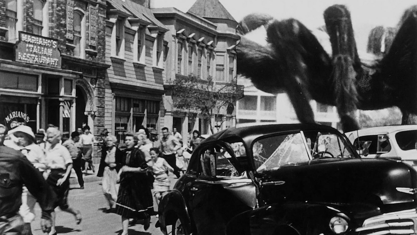 Backdrop for Earth vs. the Spider