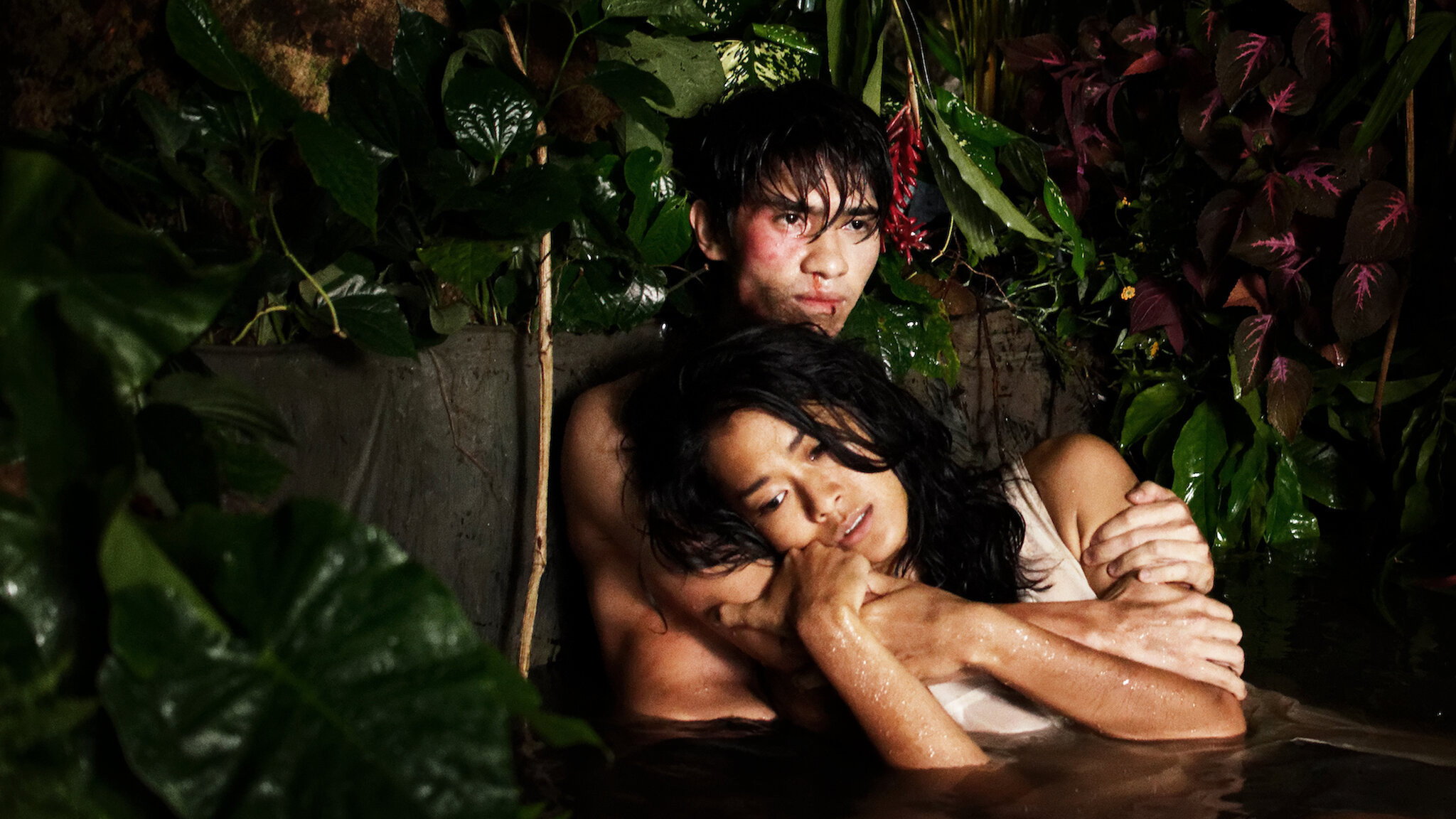 Backdrop for Interchange