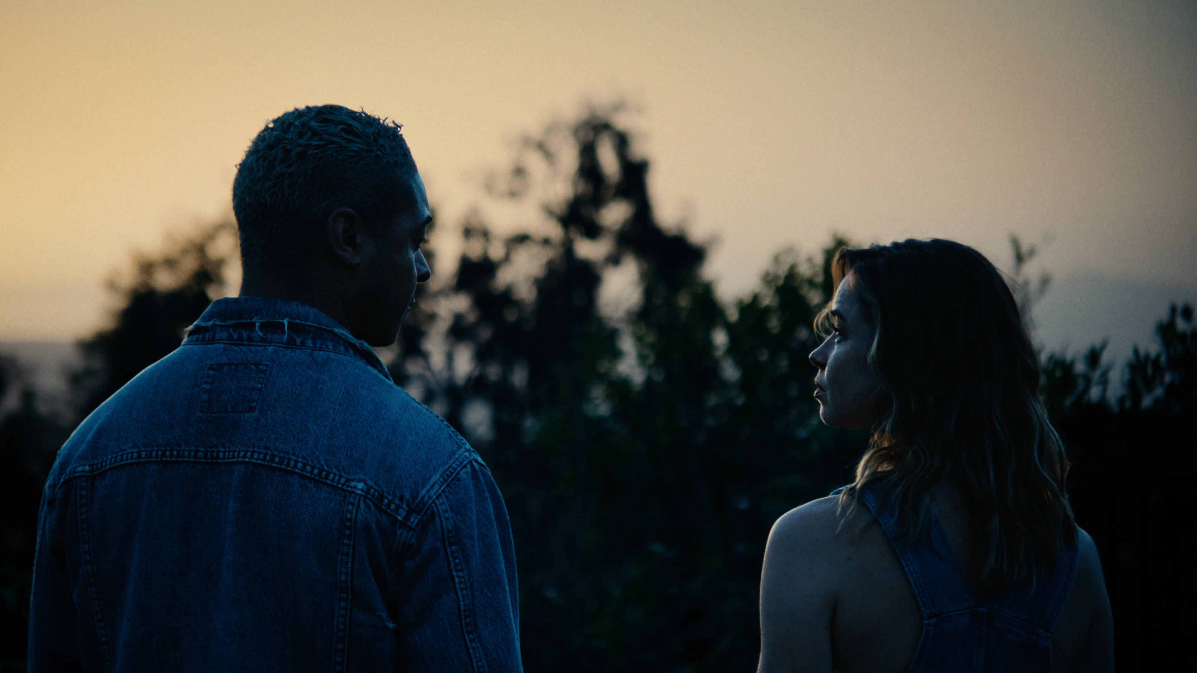 Backdrop for Fallen Drive