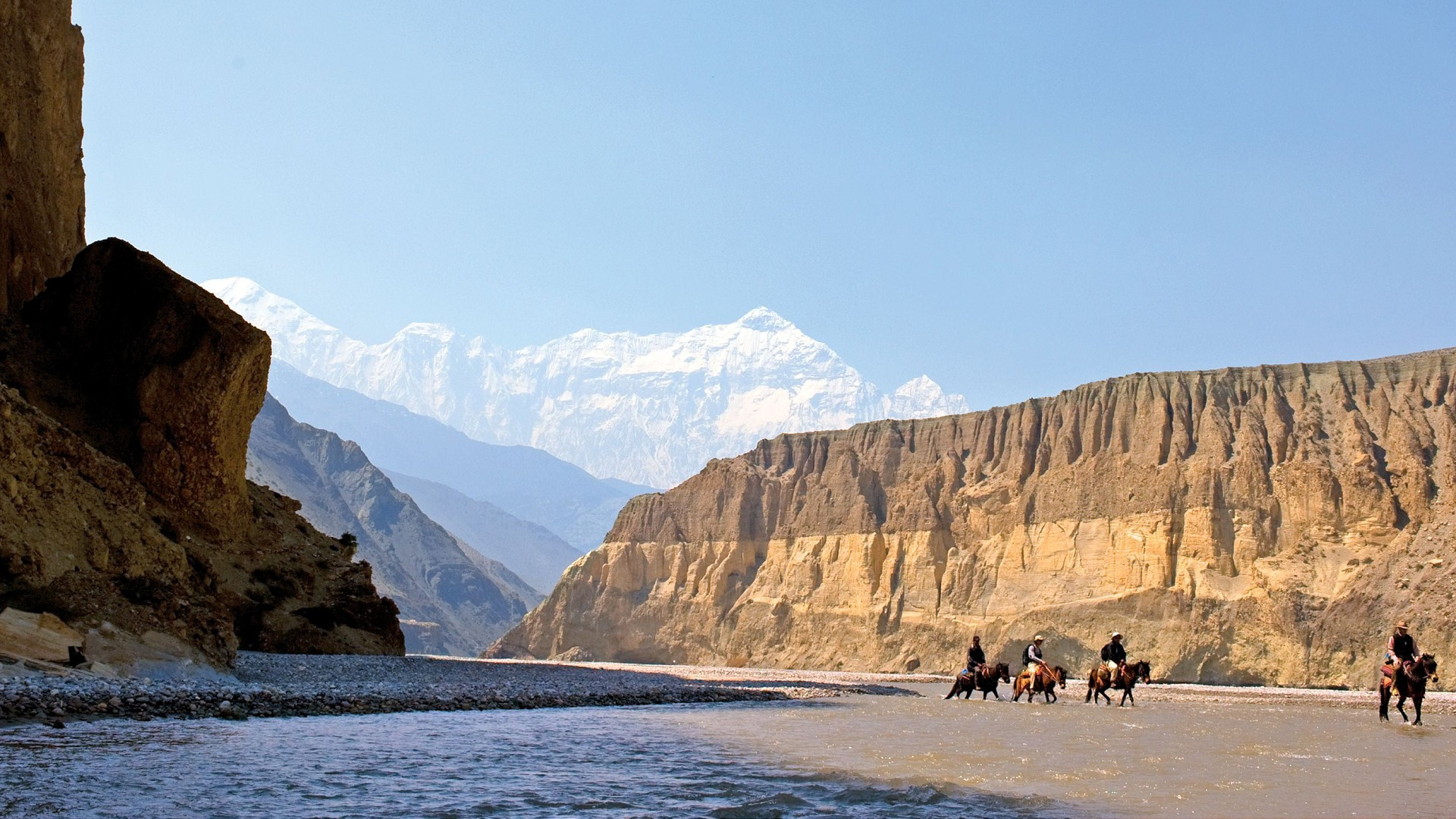 Backdrop for Mustang: Journey of Transformation