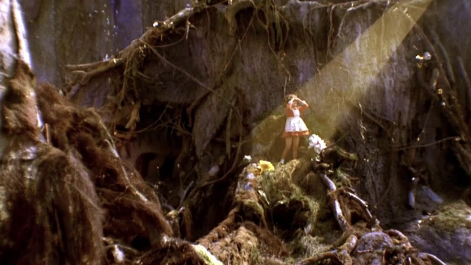 Backdrop for Veronica