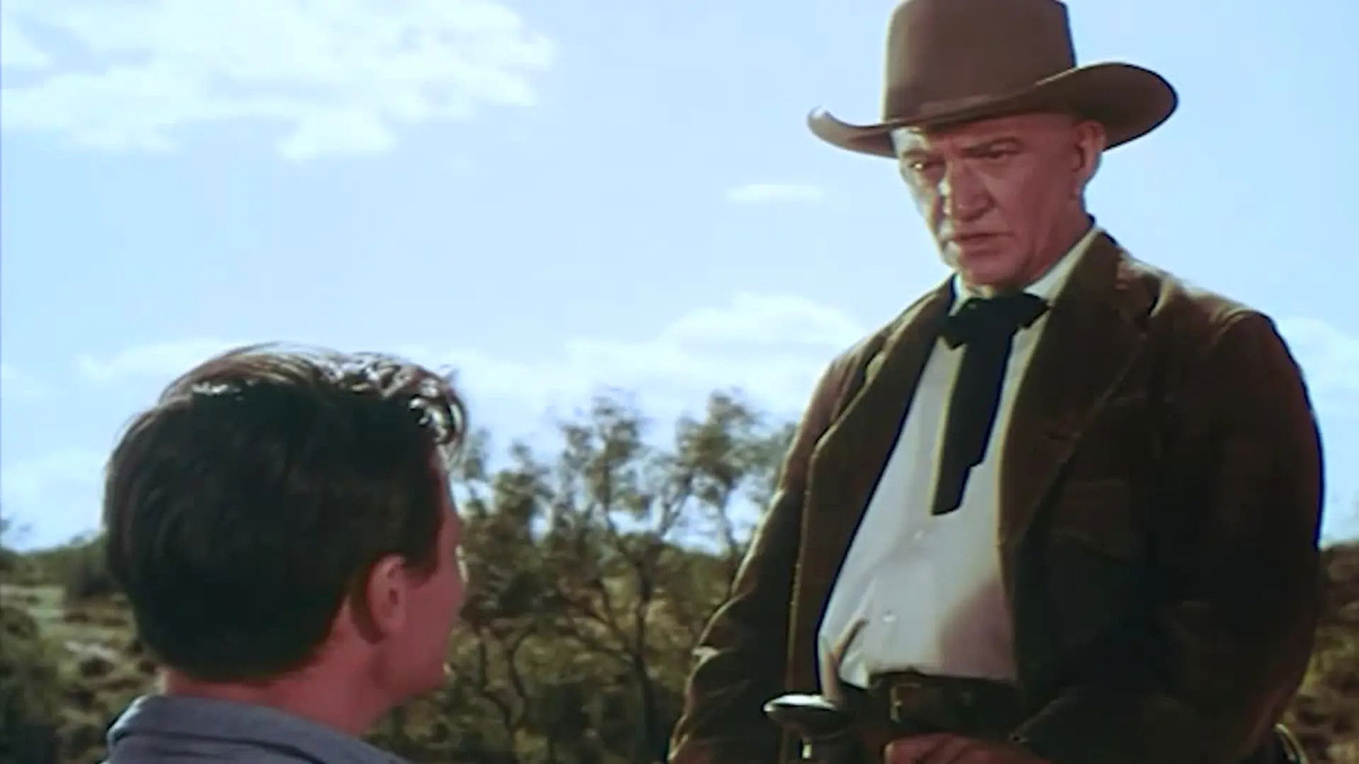 Backdrop for The Sundowners