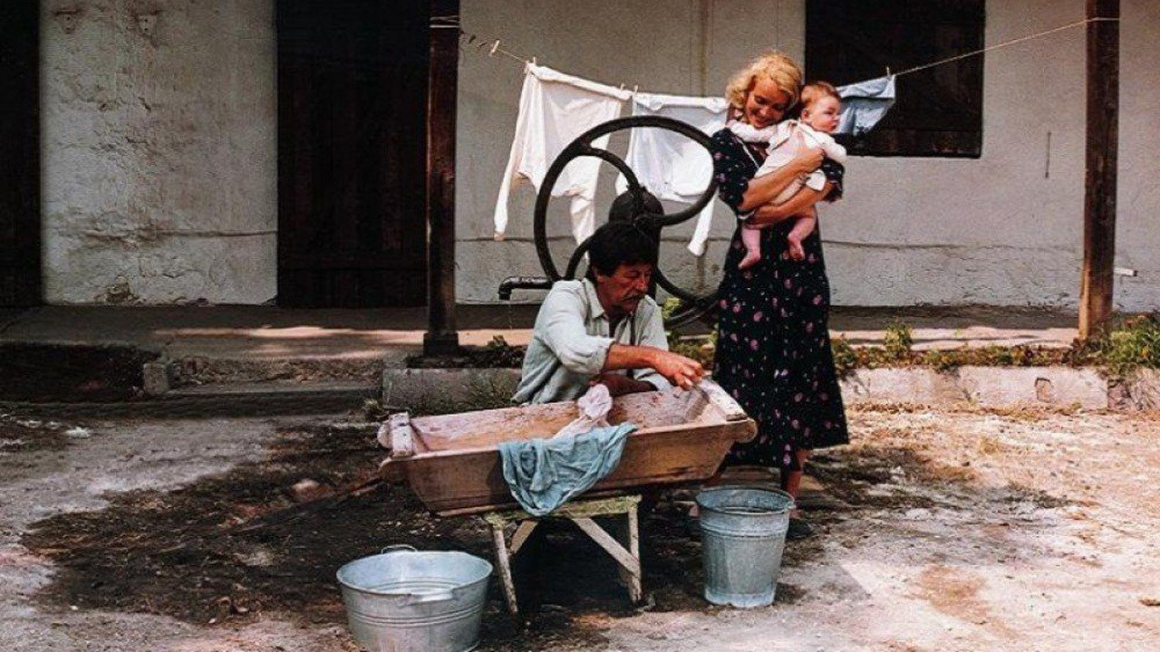 Backdrop for Volley for a Black Buffalo