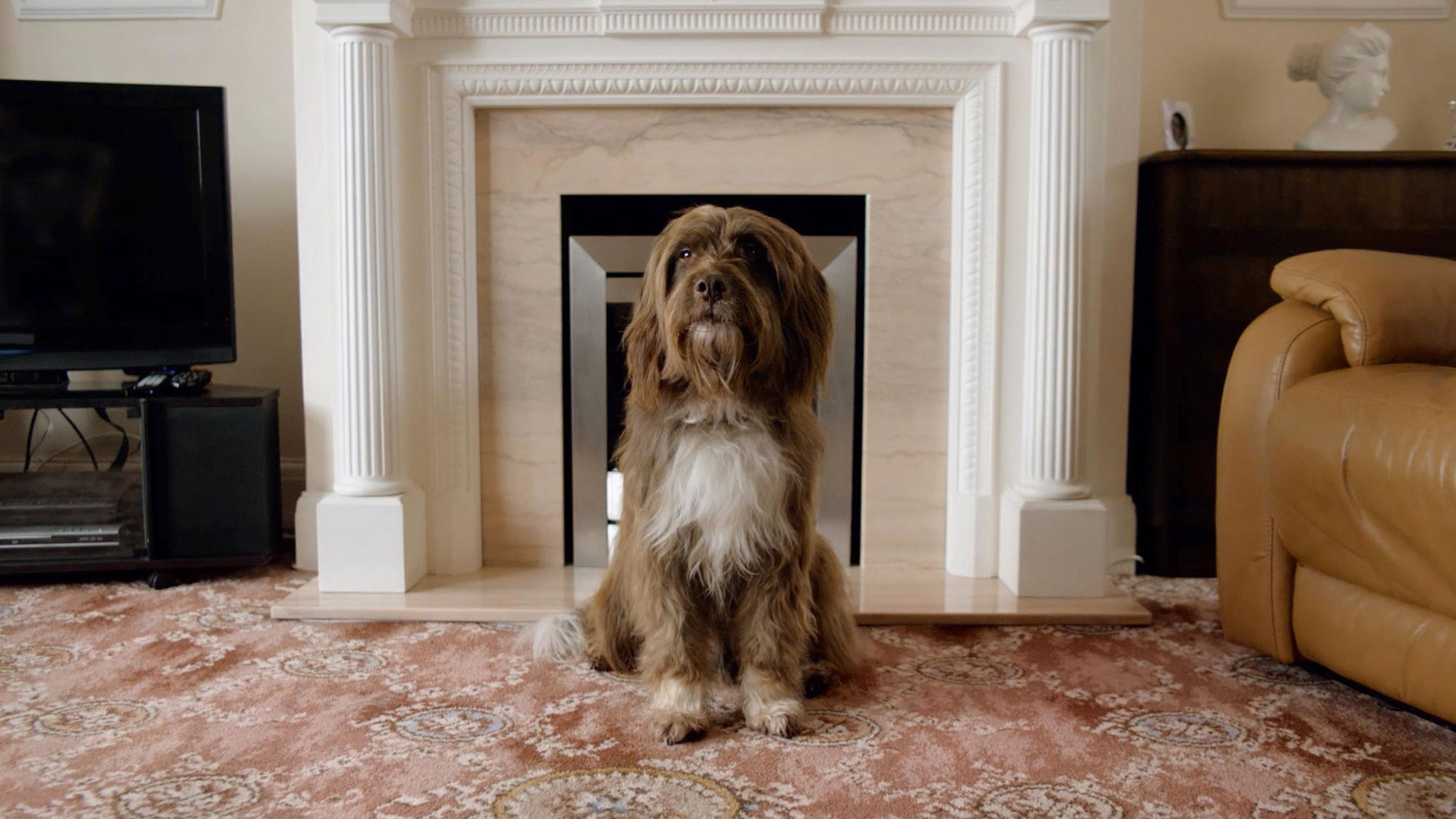Backdrop for The Dog with the Woman