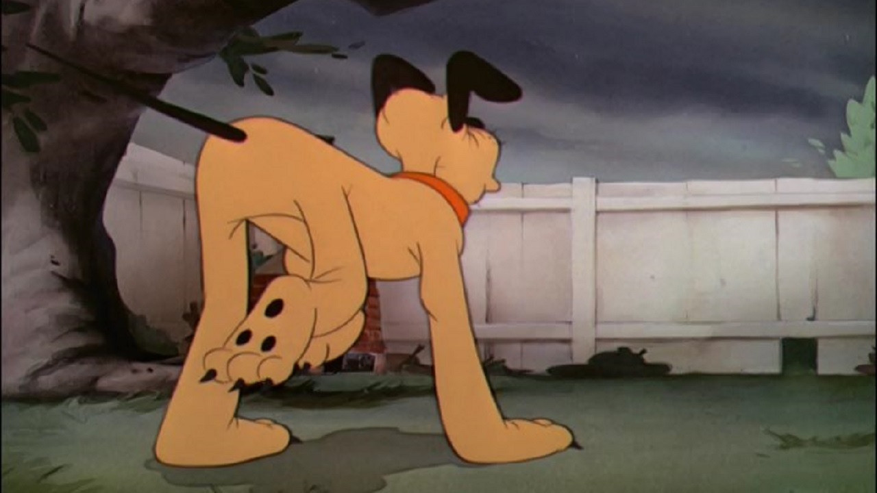 Backdrop for The Sleepwalker