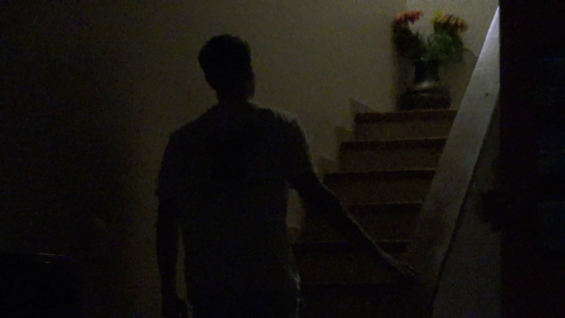 Backdrop for La sombra de la Cordura