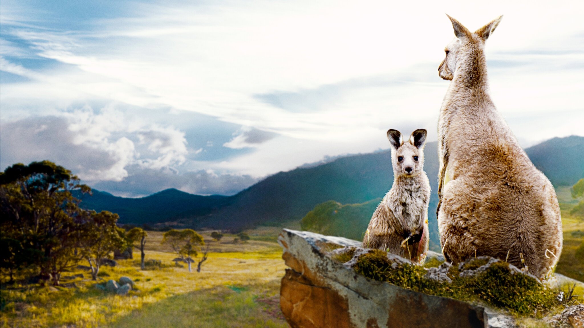 Backdrop for Kangaroo Valley
