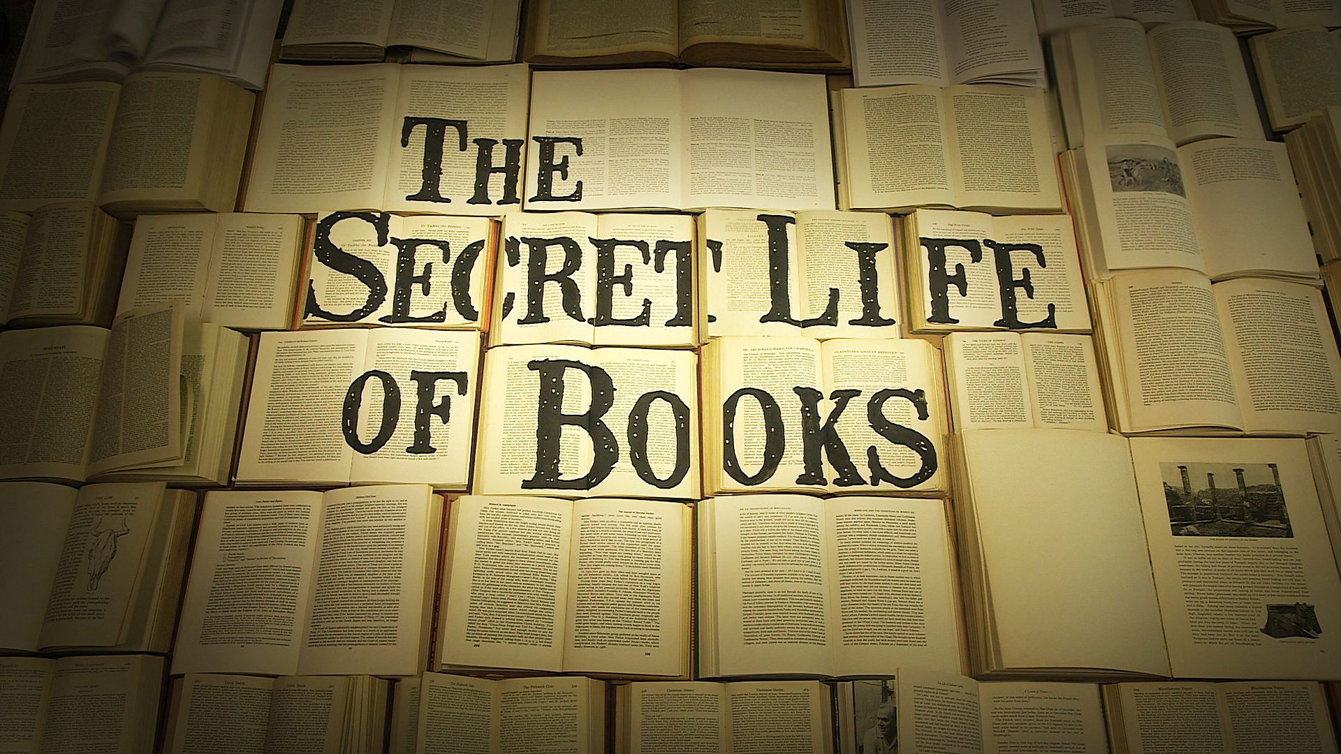 Backdrop for The Secret Life of Books