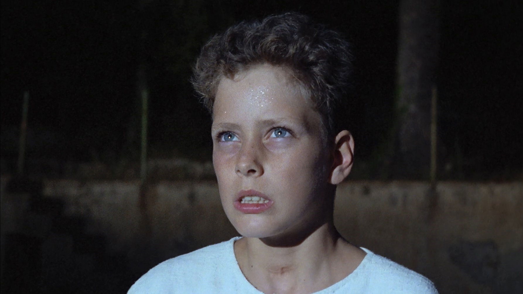 Backdrop for Moon Child