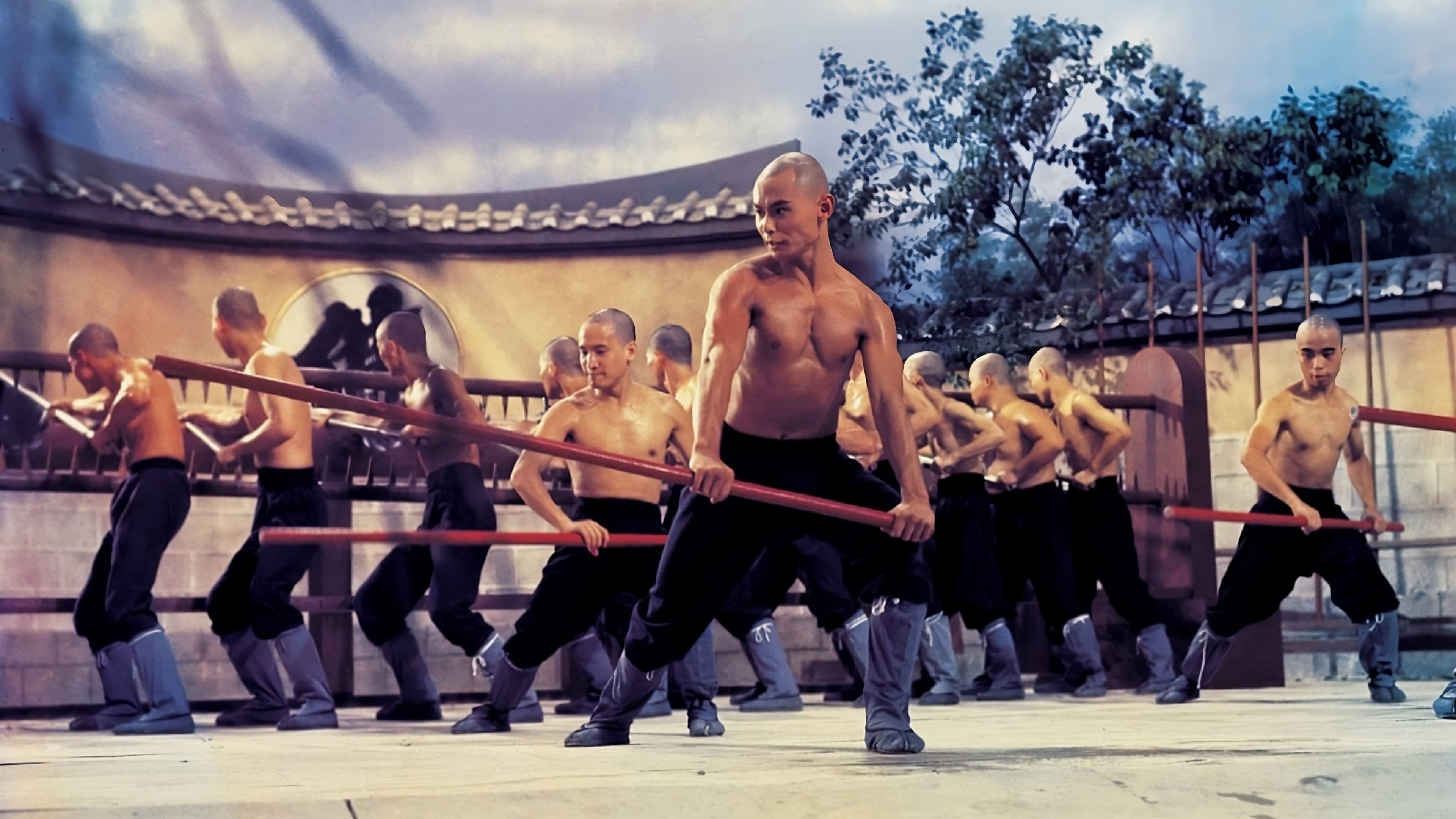Backdrop for The 36th Chamber of Shaolin