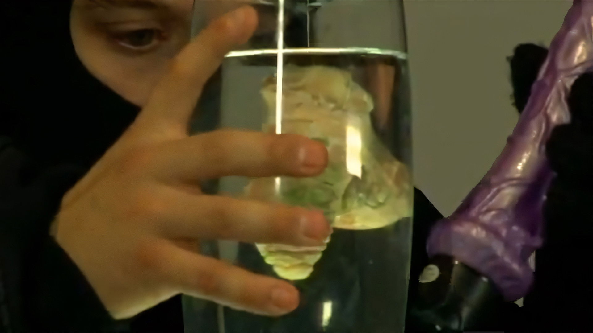 Backdrop for Ellos robaron la picha de Hitler