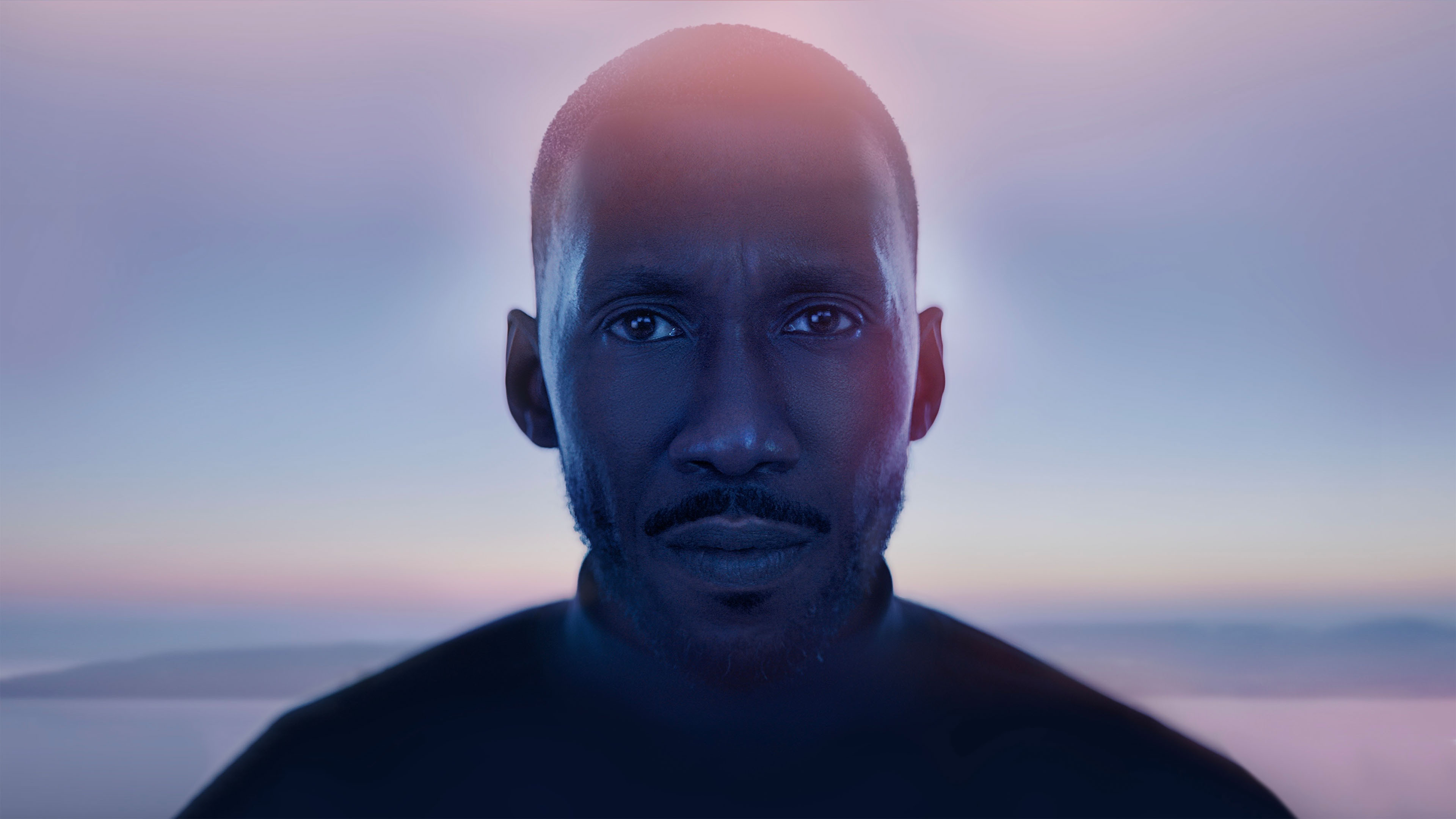 Backdrop for Swan Song