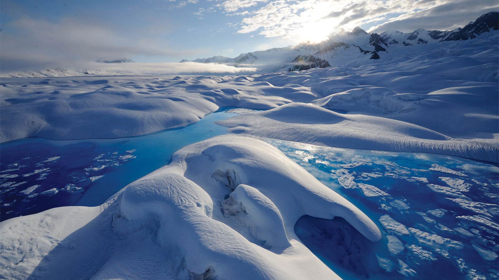 Backdrop for Climate Change: Our Planet - The Arctic Story
