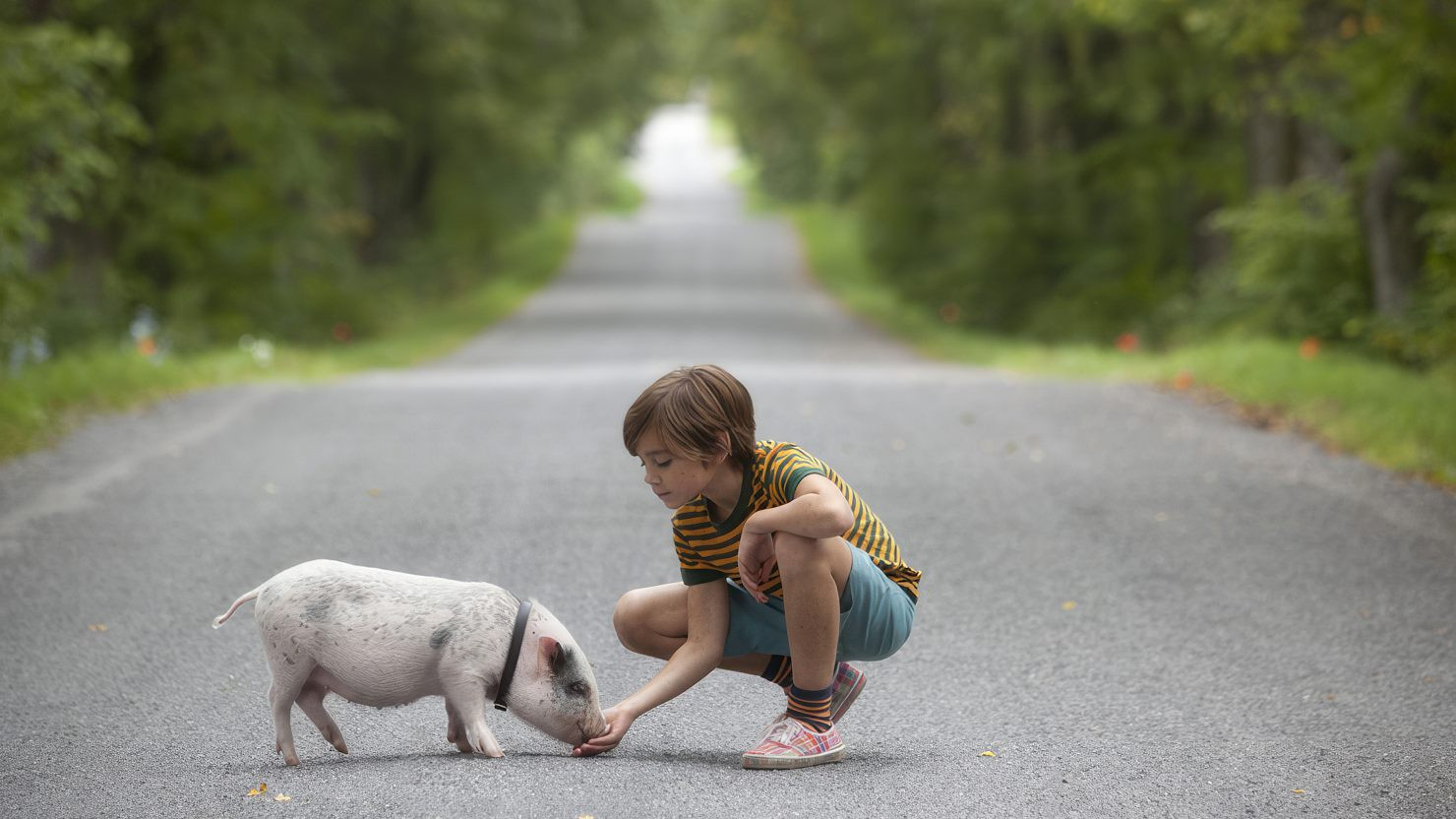 Backdrop for Hotell Gyllene Knorren - filmen