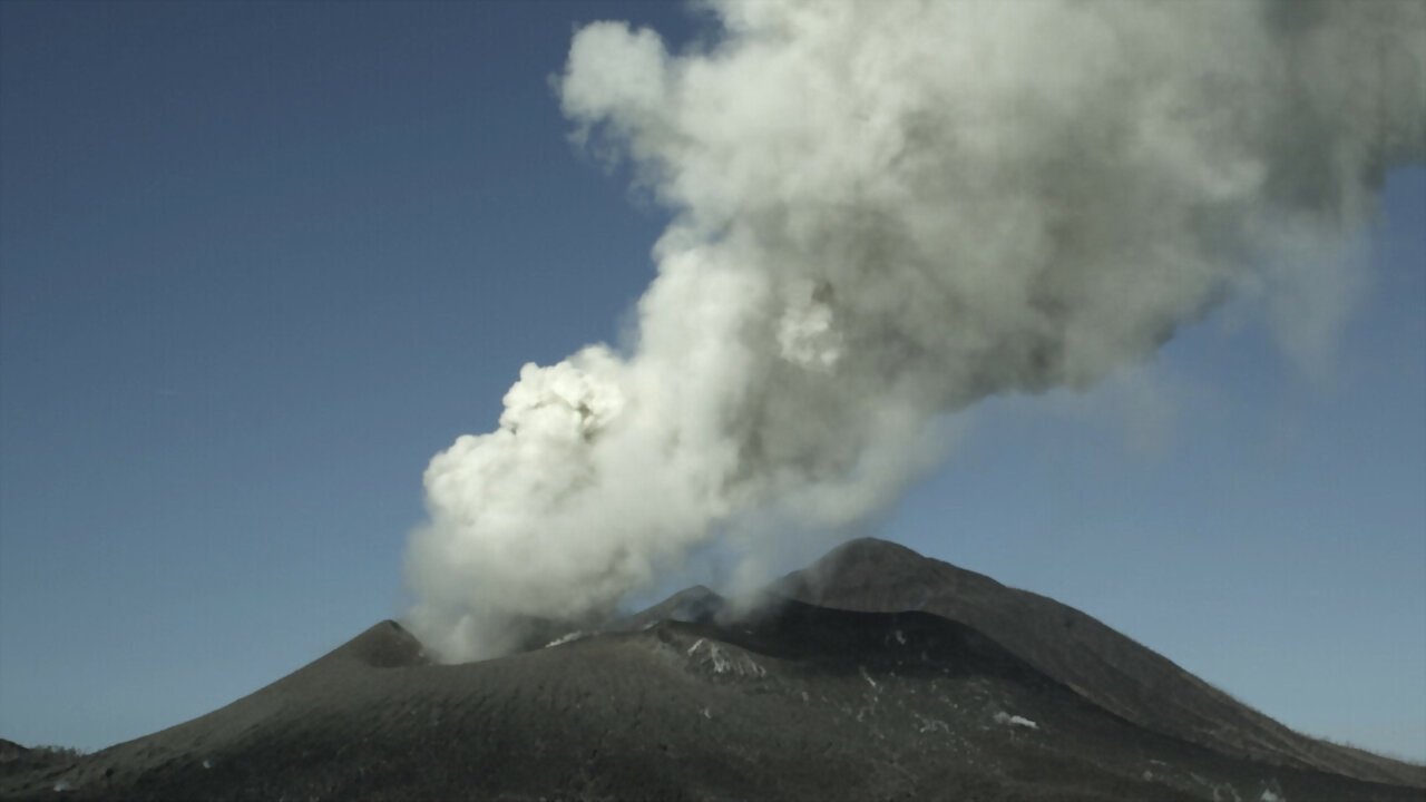 Backdrop for Survivre aux catastrophes, les stratégies de la nature