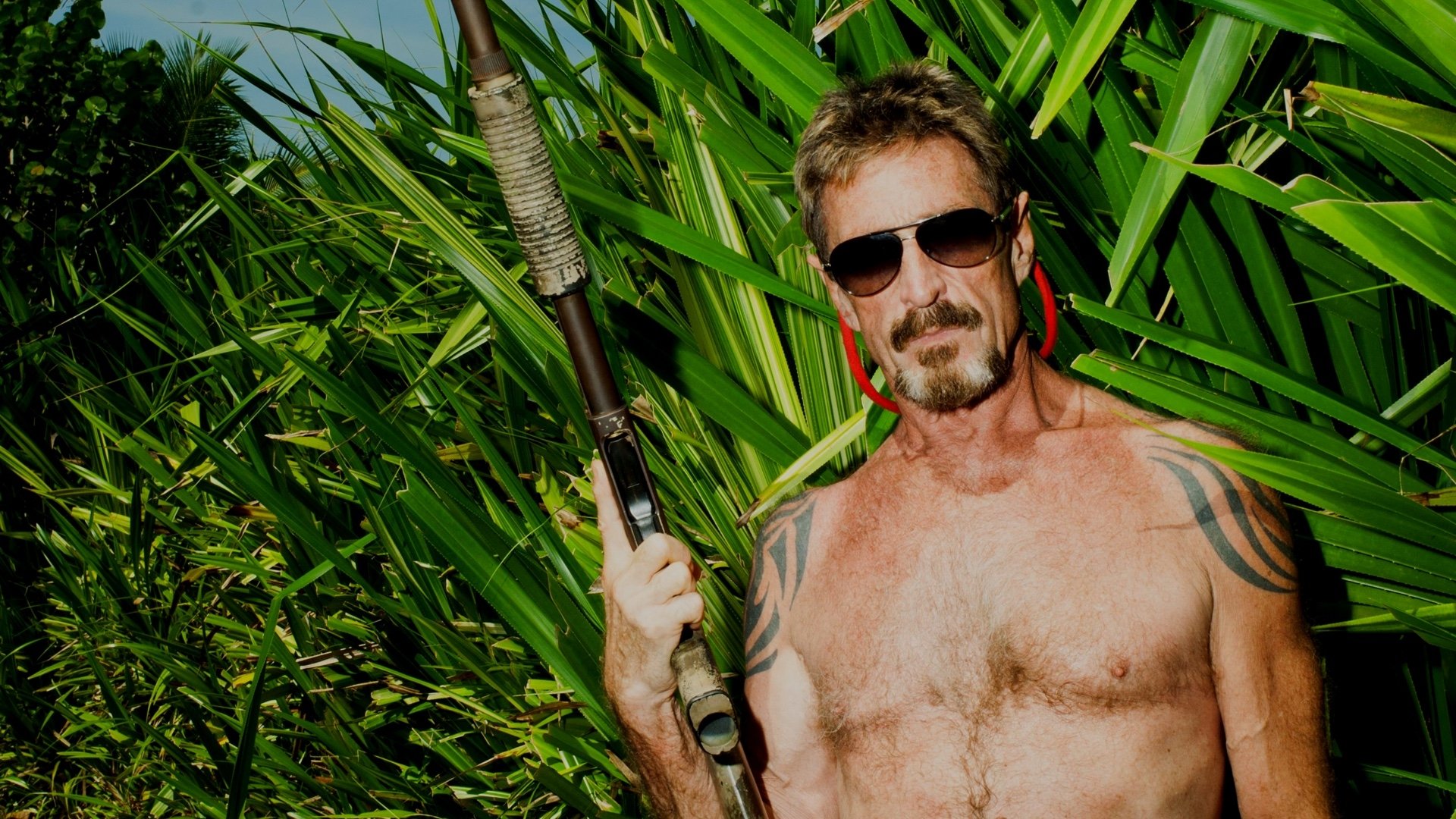 Backdrop for Gringo: The Dangerous Life of John McAfee