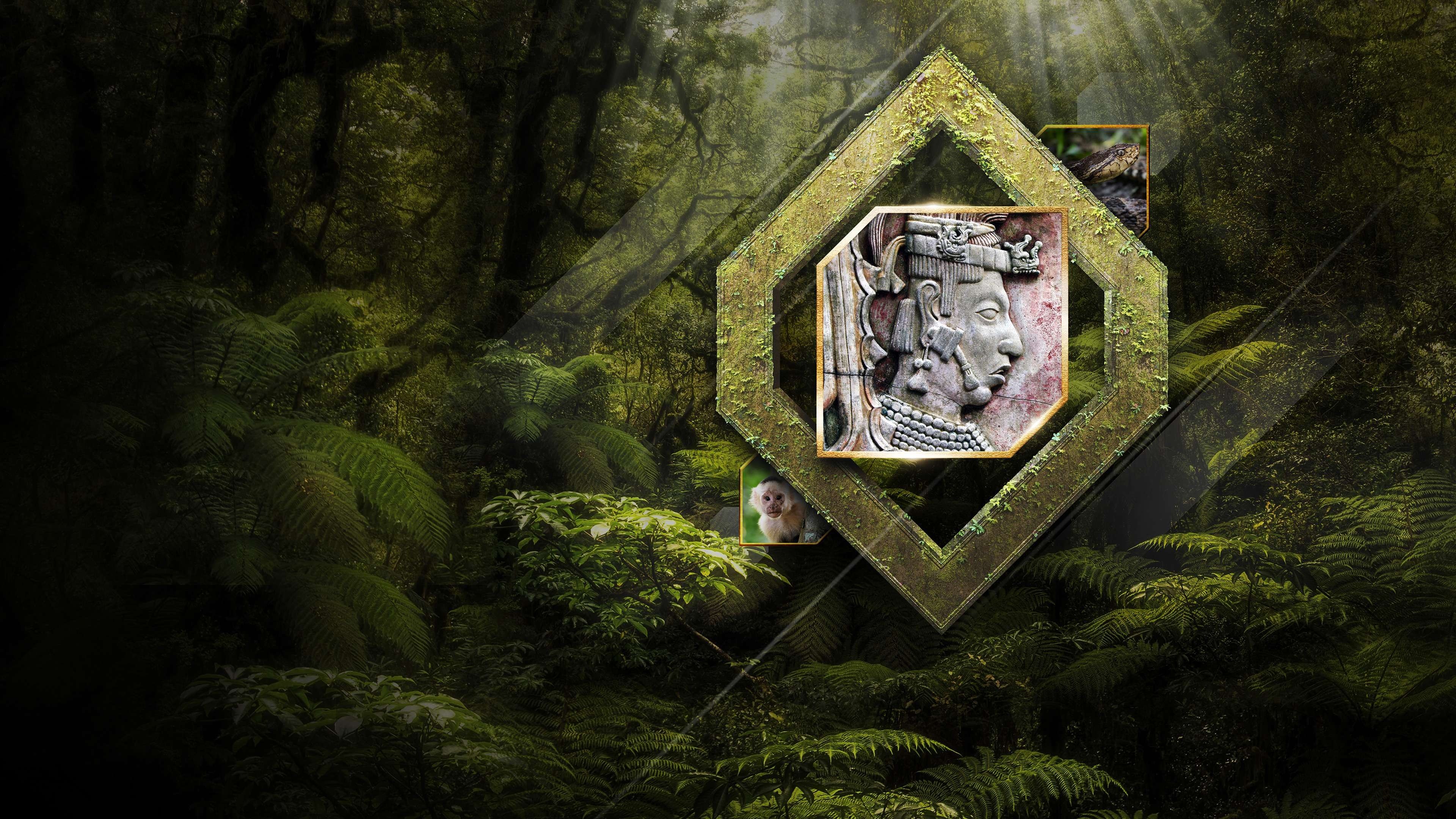 Backdrop for The Lost City of the Monkey God