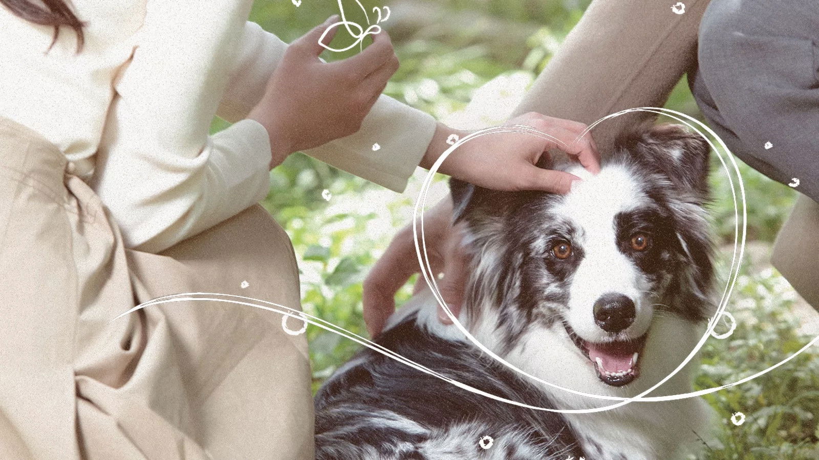 Backdrop for Pet Me Pick Me