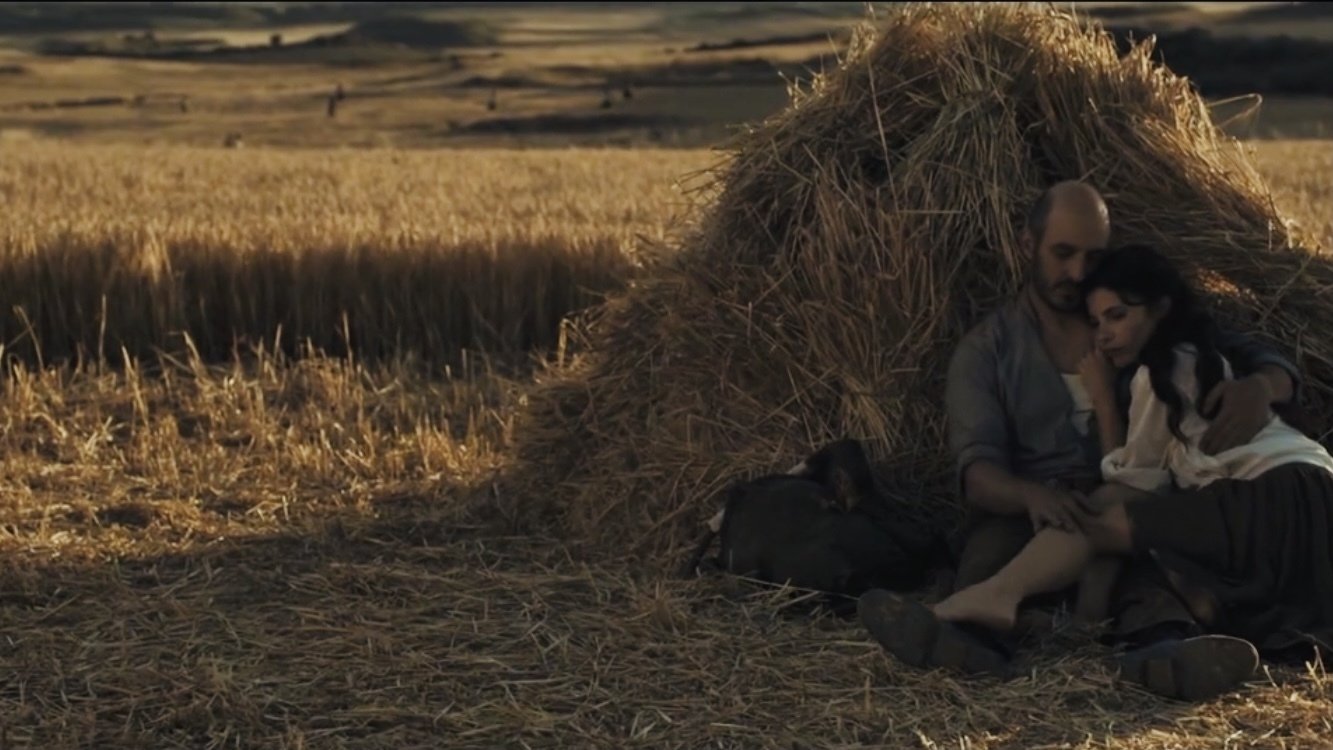 Backdrop for Chrysalis