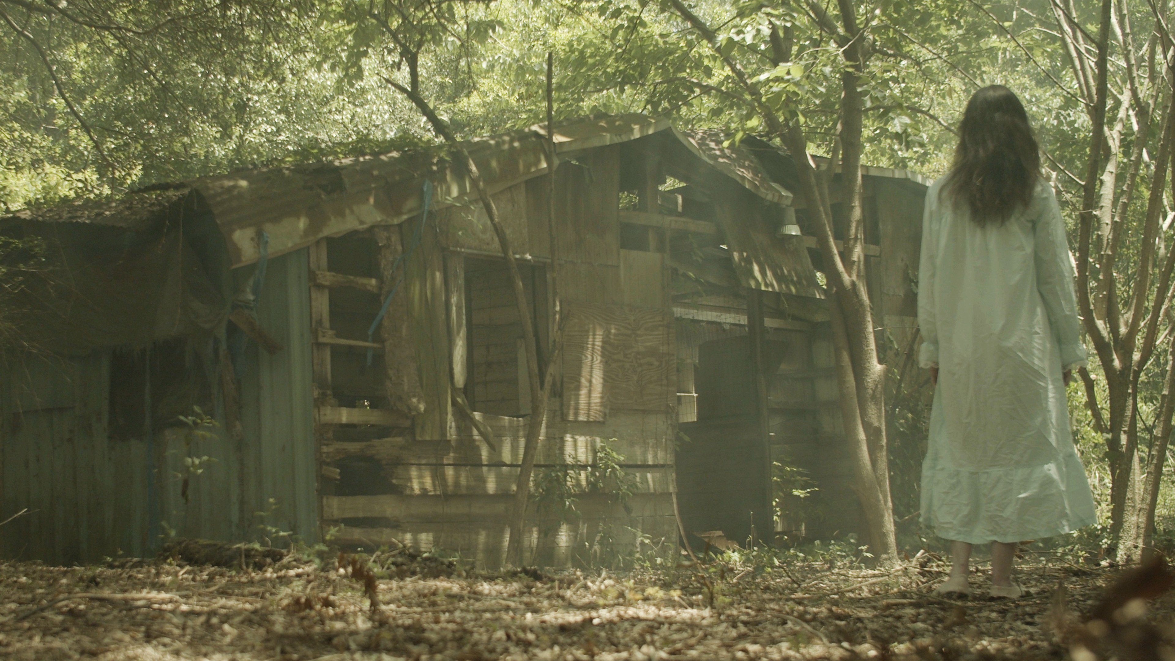 Backdrop for Royal Jelly