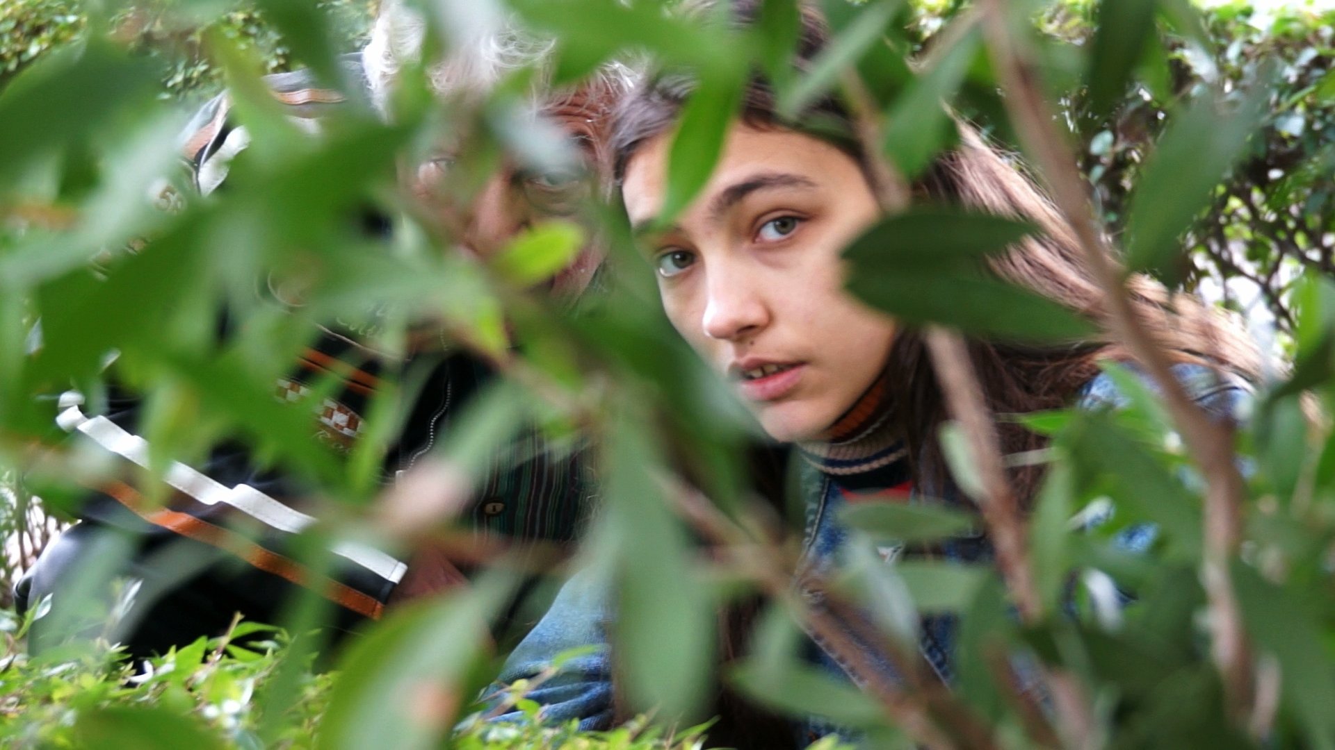 Backdrop for Divino tesoro