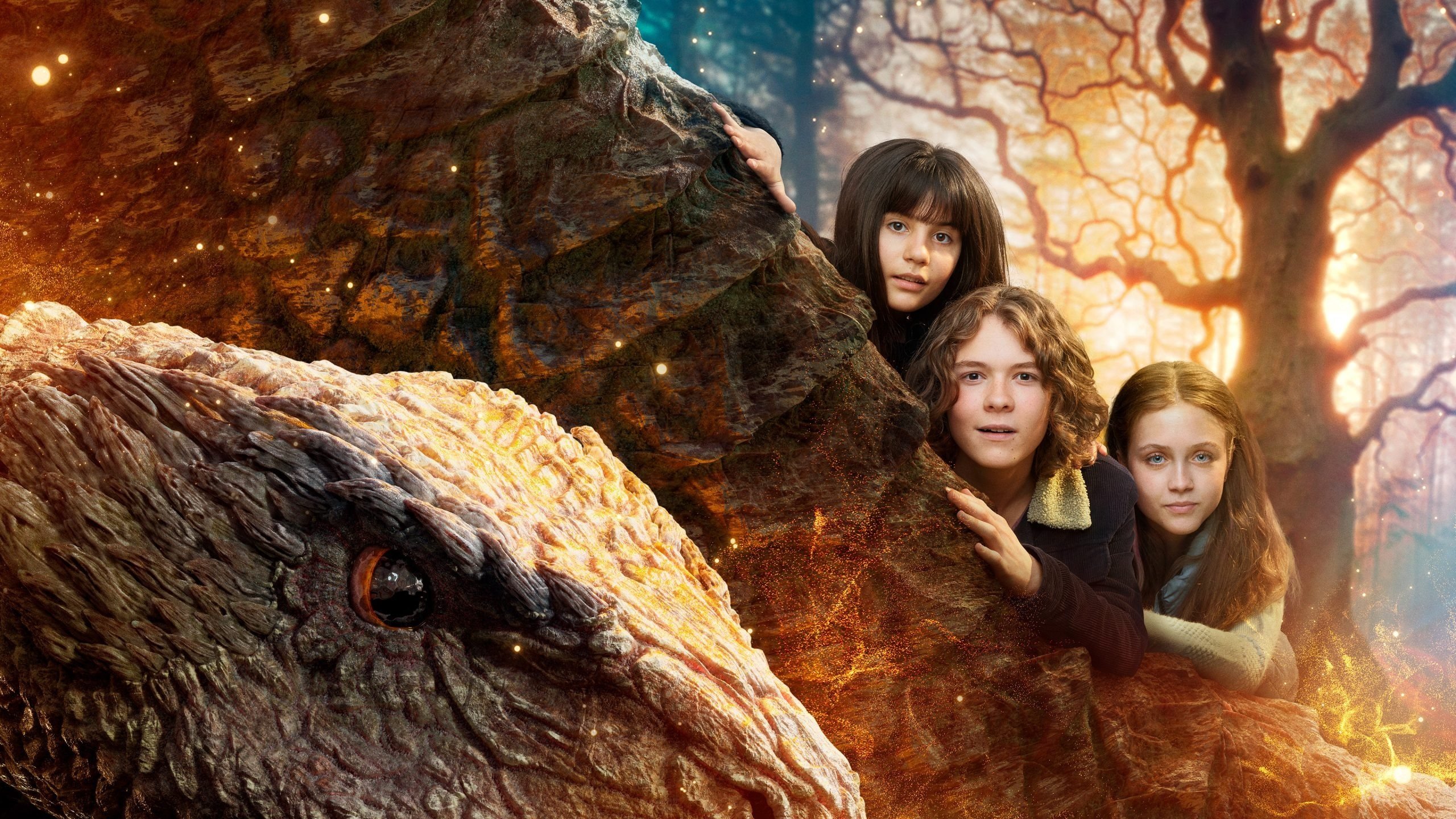 Backdrop for Valdes Jul - Vintermiraklet