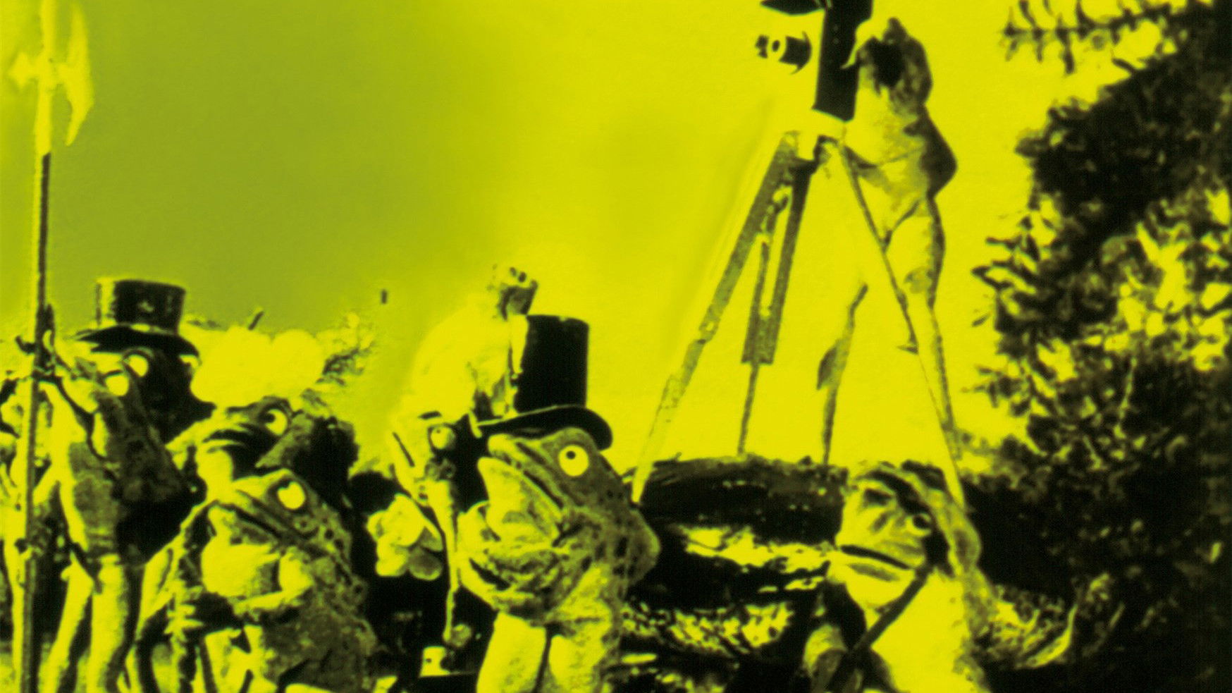 Backdrop for The Frogs Who Wanted a King