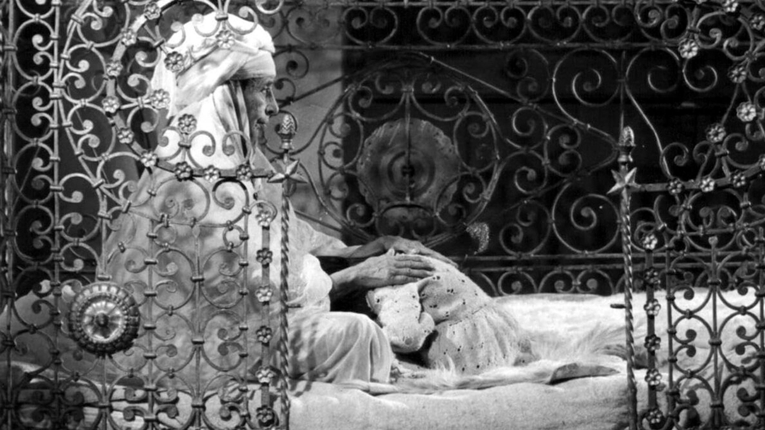 Backdrop for The Nouba of the Women of Mount Chenoua