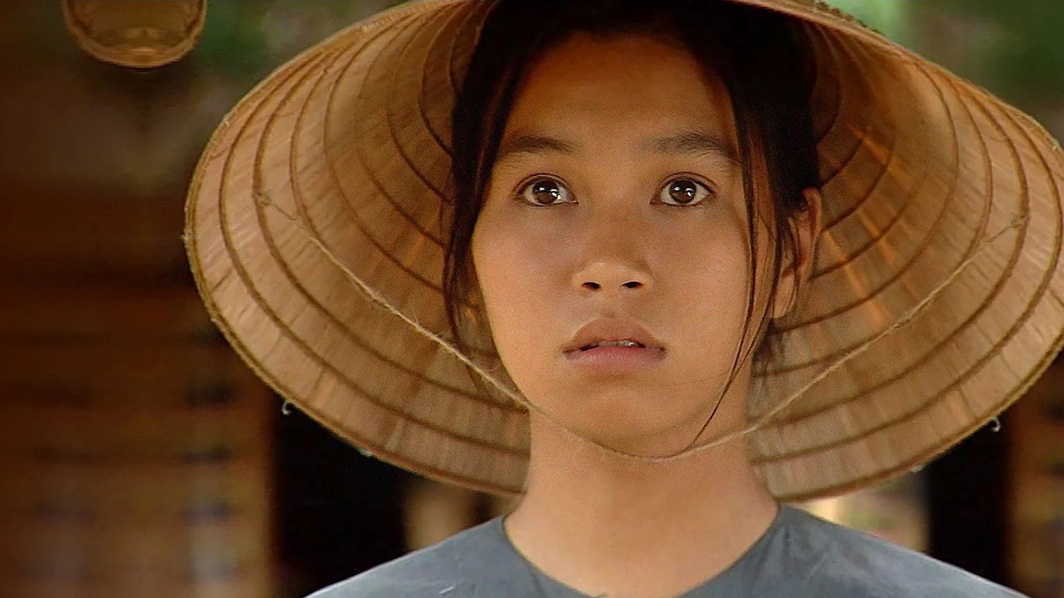 Backdrop for Song of the South