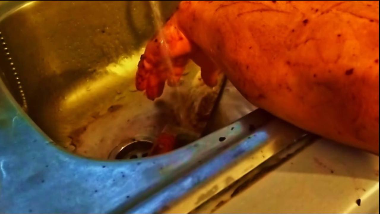 Backdrop for Orphans