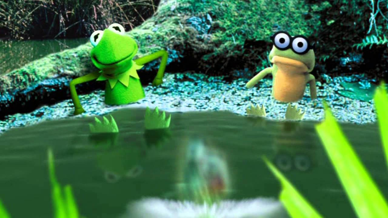 Backdrop for Kermit's Swamp Years