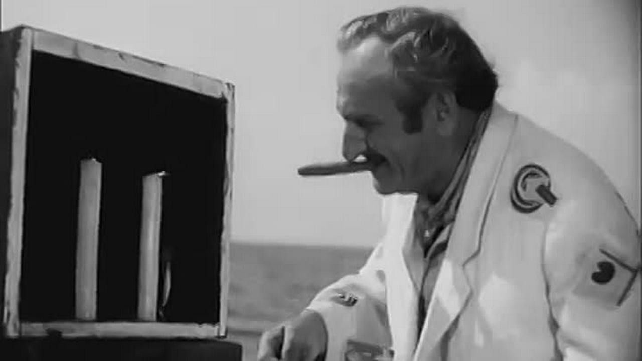 Backdrop for Black Gull