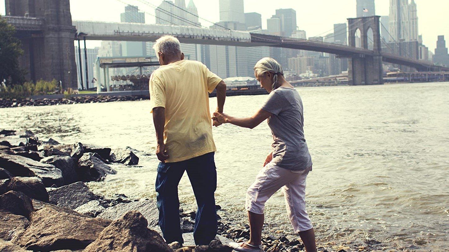 Backdrop for Cutie and the Boxer