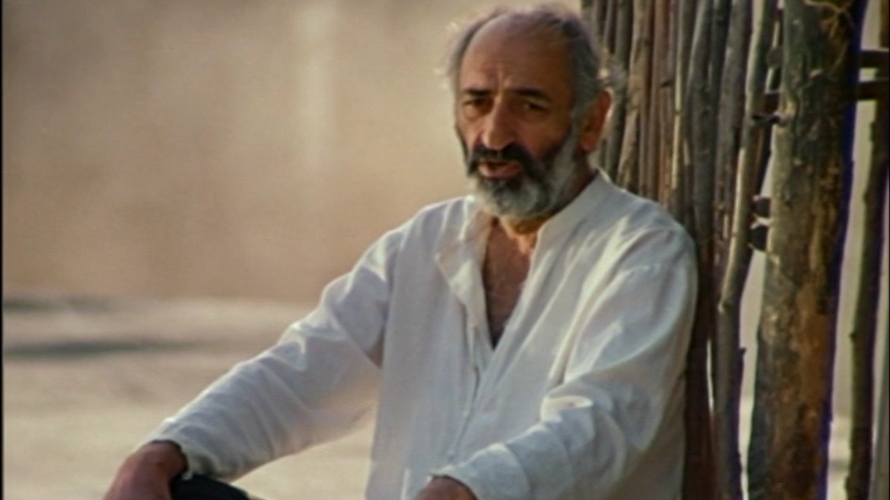 Backdrop for White Dreams