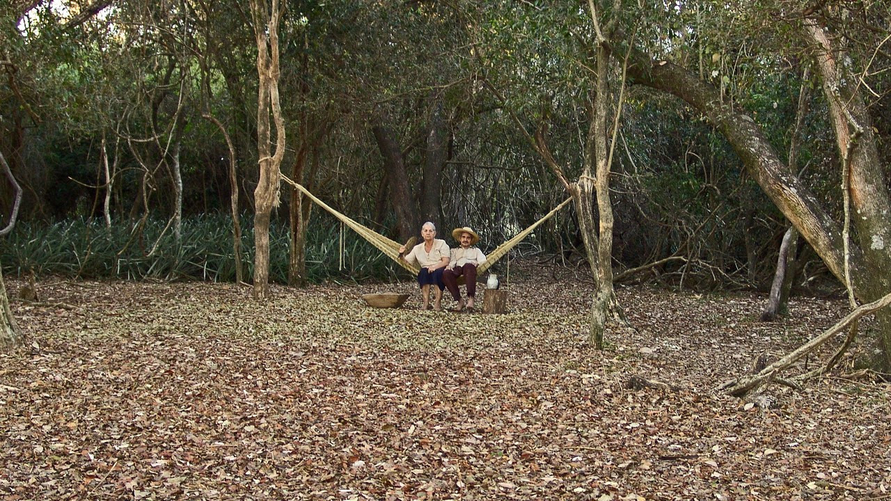 Backdrop for Paraguayan Hammock
