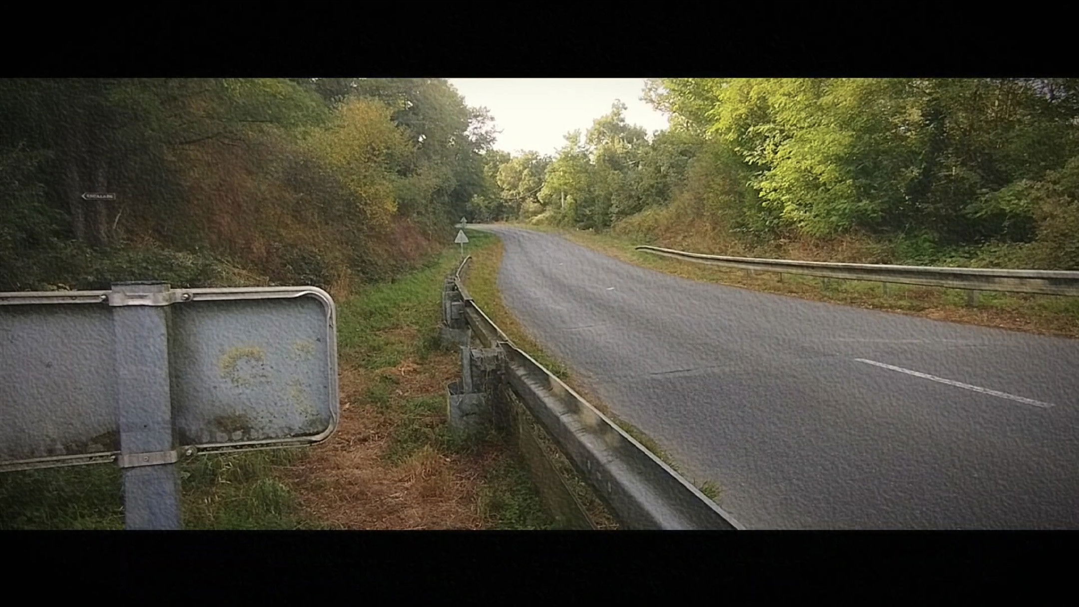 Backdrop for Wandering: The Art of Noticing