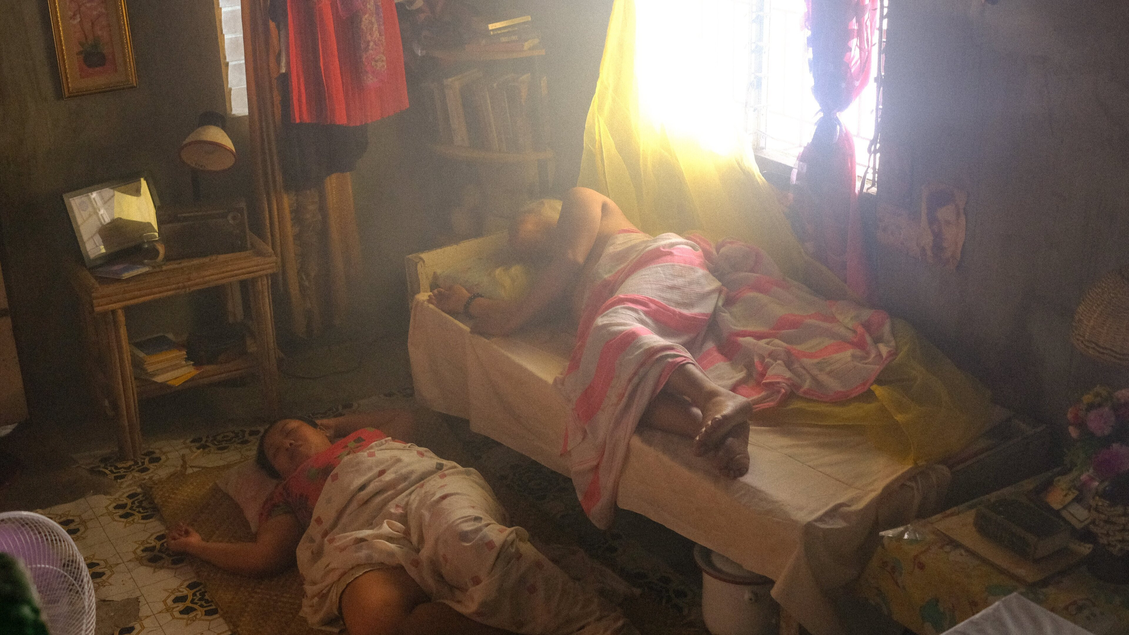 Backdrop for 101 Butterflies