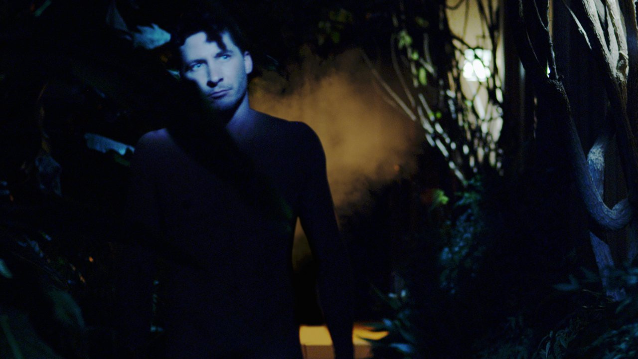 Backdrop for Hippopotamus