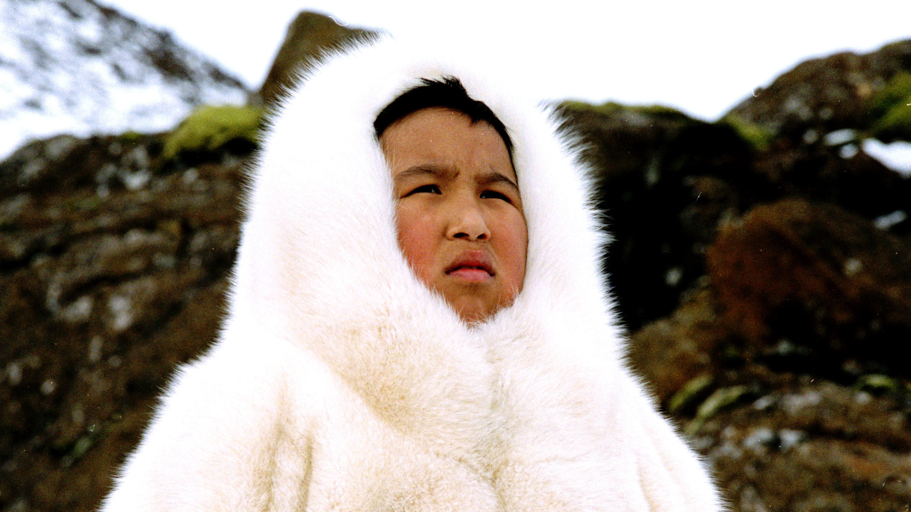 Backdrop for Ikingut