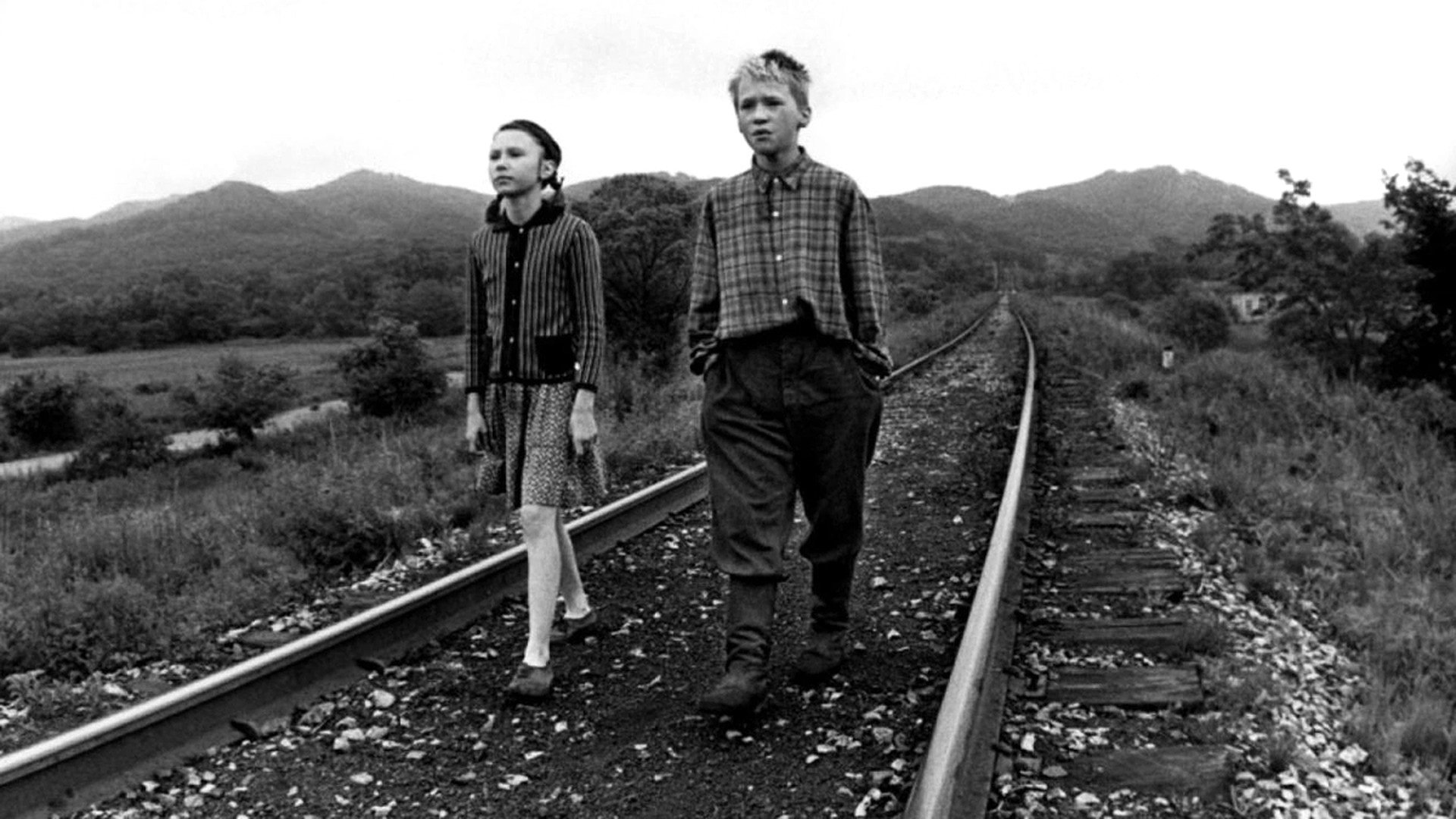 Backdrop for Freeze, Die, Come to Life