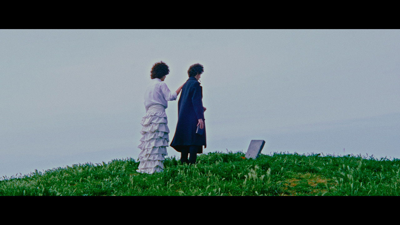 Backdrop for A Film in the Theatre