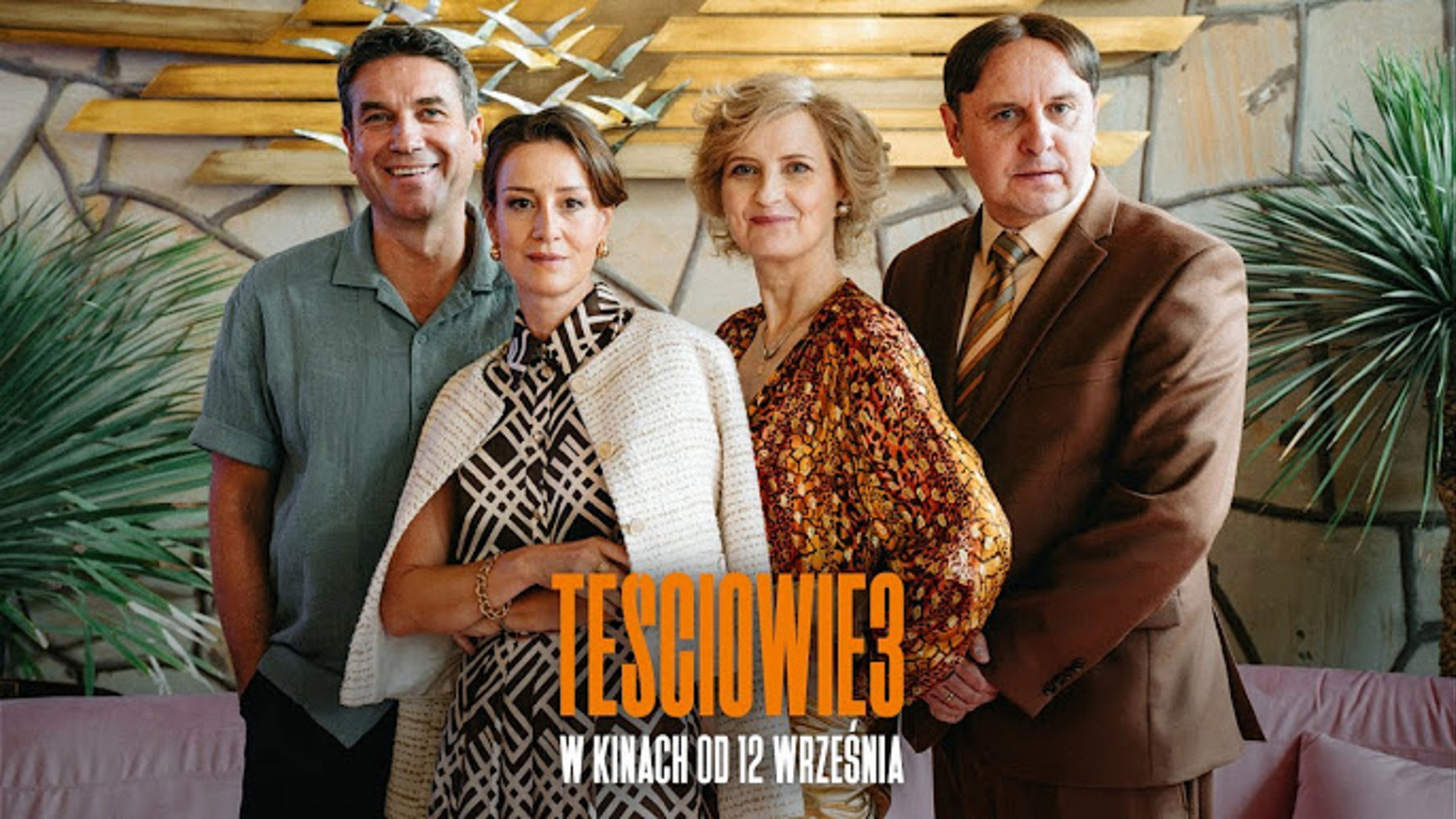 Backdrop for The In-Laws 3