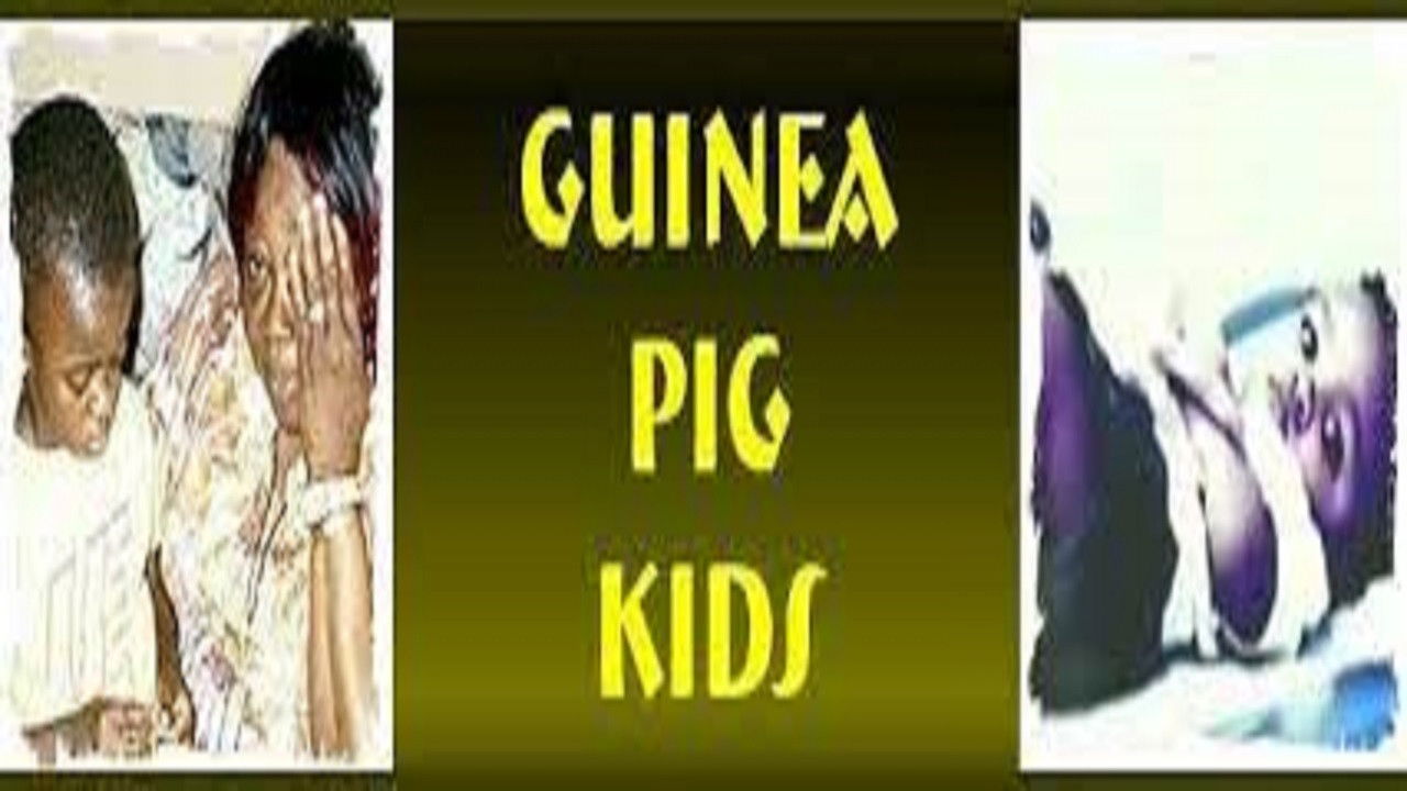 Backdrop for Guinea Pig Kids