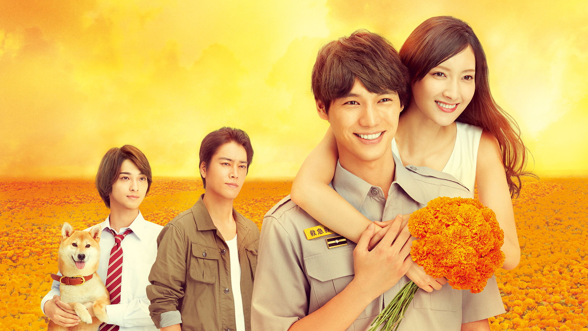 Backdrop for Marigold in 4 Minutes