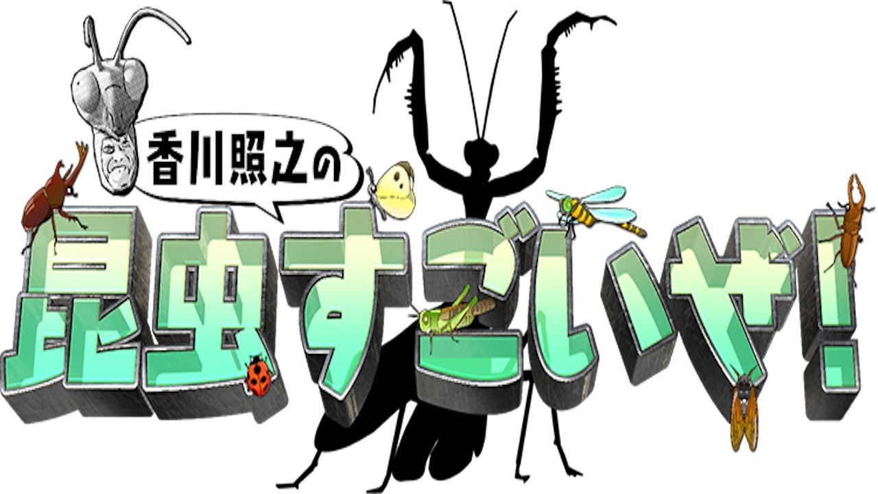 Backdrop for 香川照之の昆虫すごいぜ!