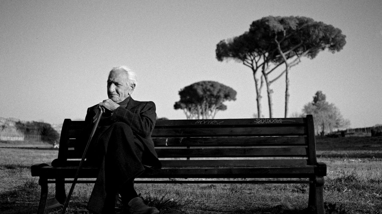 Backdrop for The Treasure of His Youth: The Photographs of Paolo Di Paolo