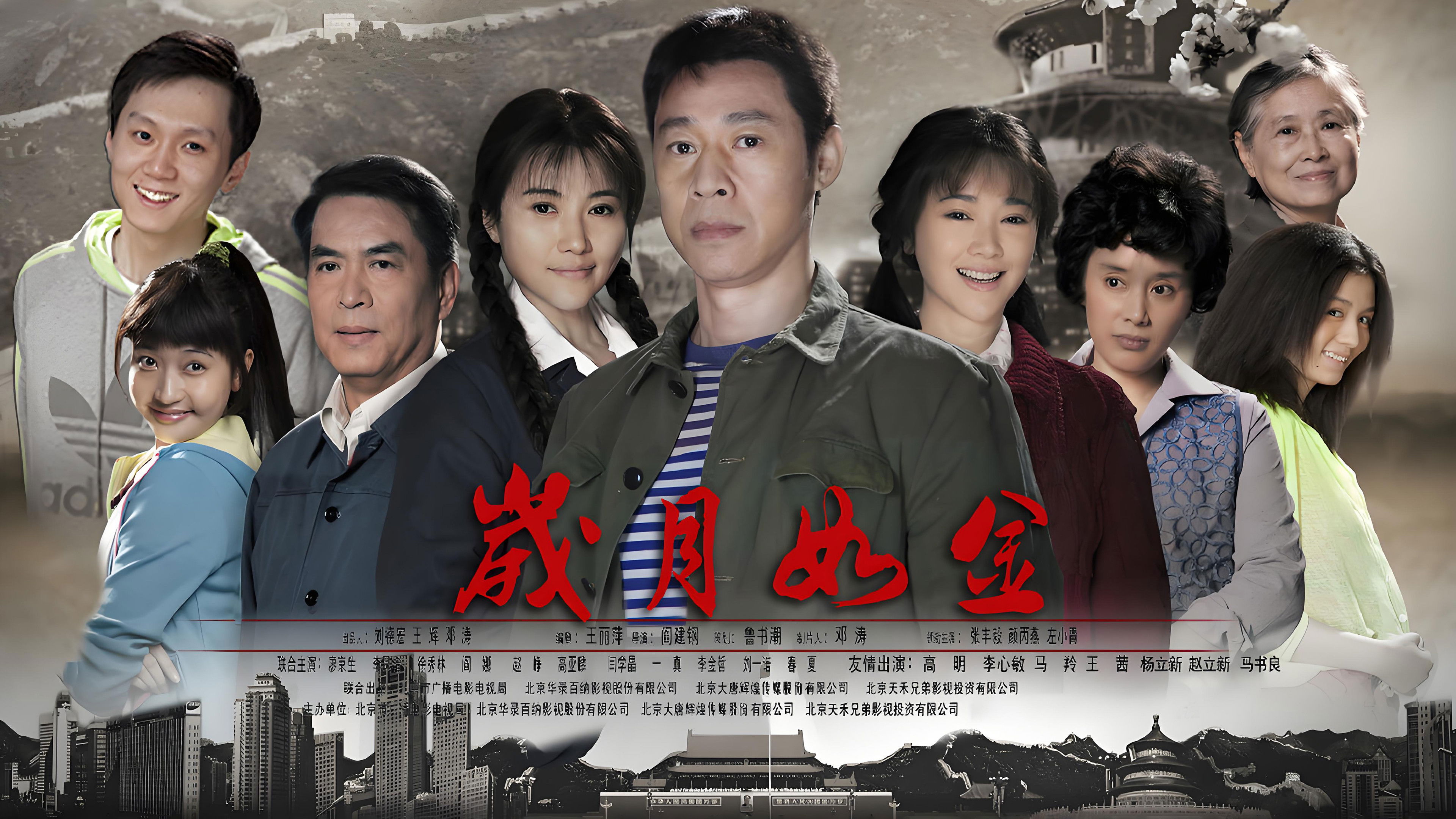 Backdrop for 岁月如金