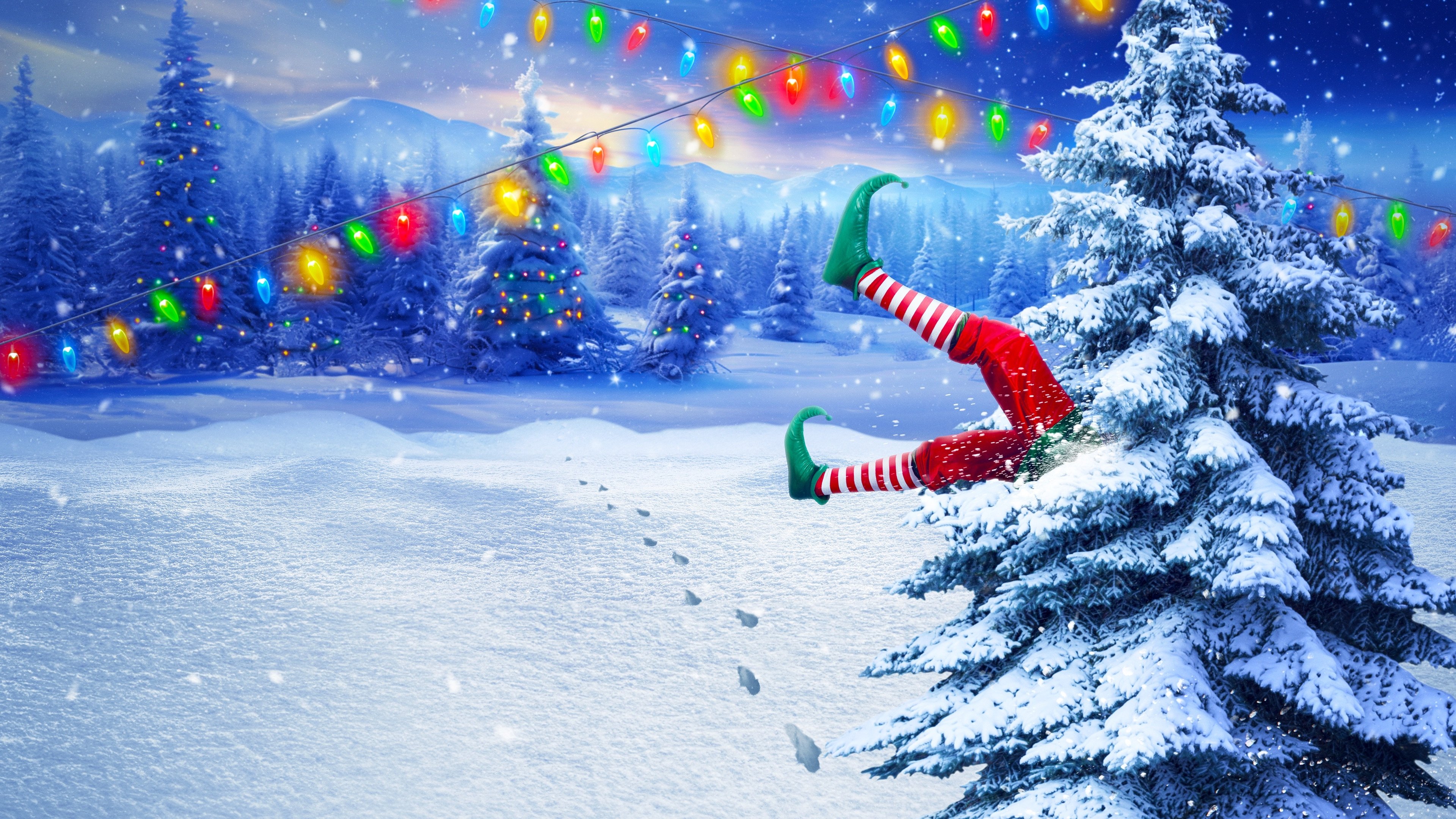 Backdrop for Big Brother Reindeer Games